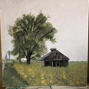 shed2